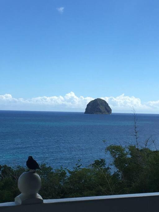 Studio Vue Mer Et Rocher Du Diamant Antilles 勒迪亚芒 外观 照片